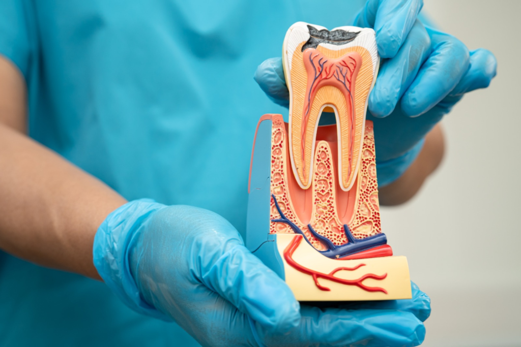 Dentist checking a patient's gums during a dental check-up in Norwich